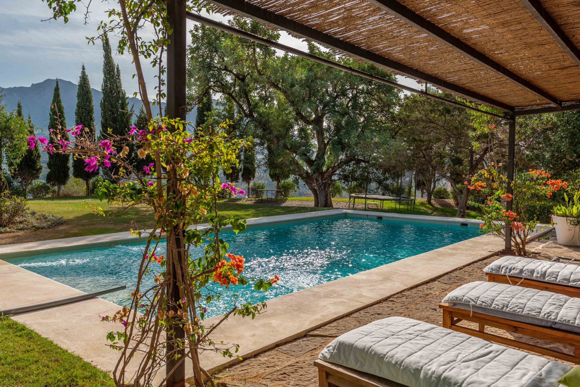 Comprar finca rústica en Málaga: guía para quienes buscan vivir en el campo cerca de la Costa del Sol