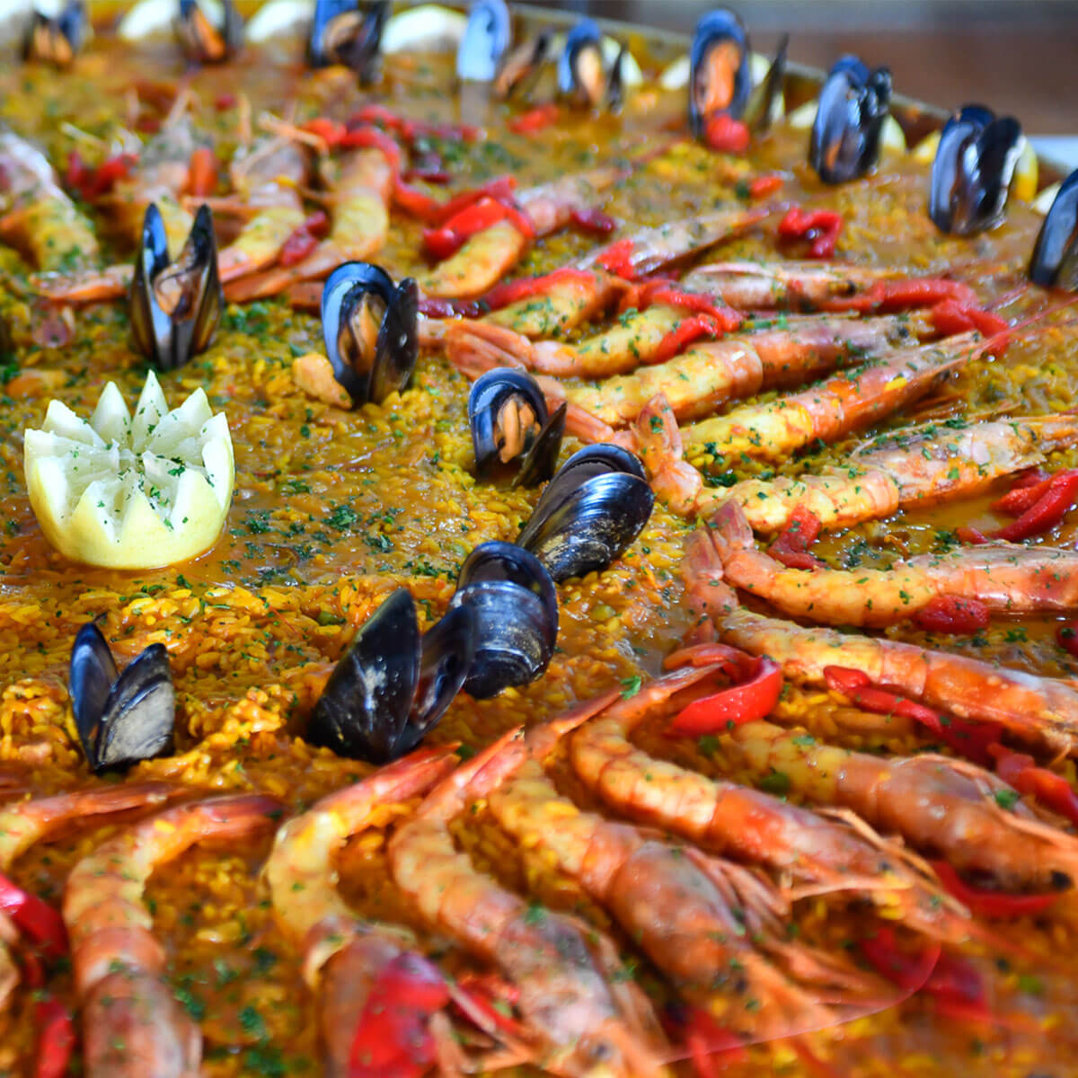 Gastronomía en la Costa del Sol: mucho más que una forma de comer, un estilo de vida